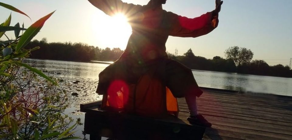 Taichi WM-martialarts - Taichi