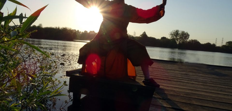 WM-MartialArts-scaled WM-MartialArts-scaled