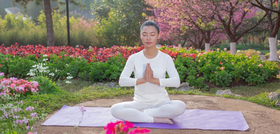 Women are playing yoga at the park. Exercising. Women are playing yoga at the park. Exercising.